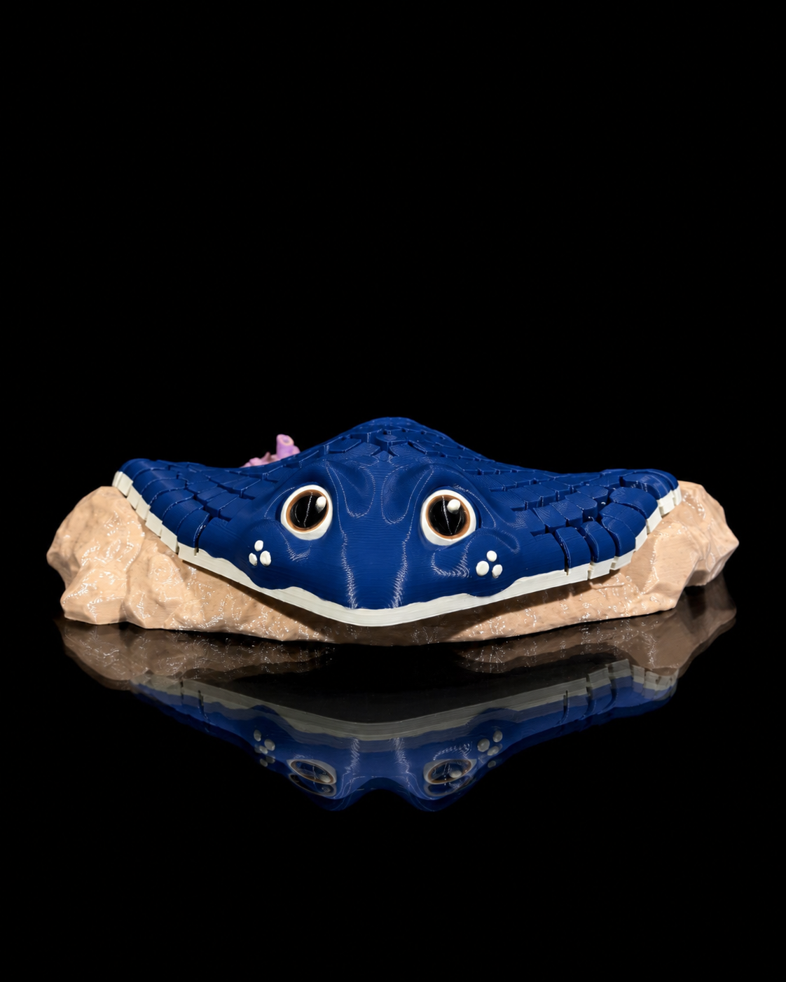 Ray, the Manta Ray