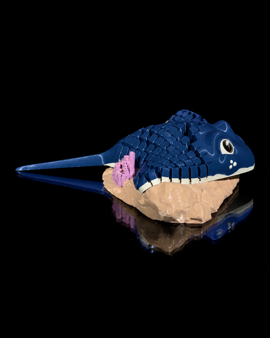 Ray, the Manta Ray