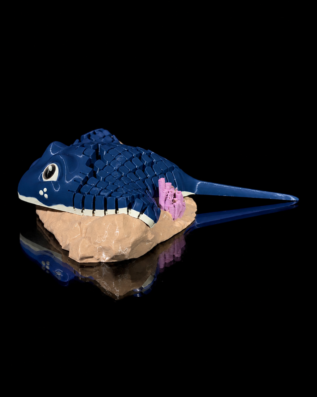 Ray, the Manta Ray