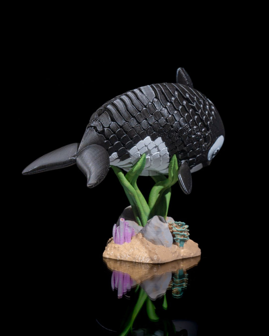 Oscar, the Orca