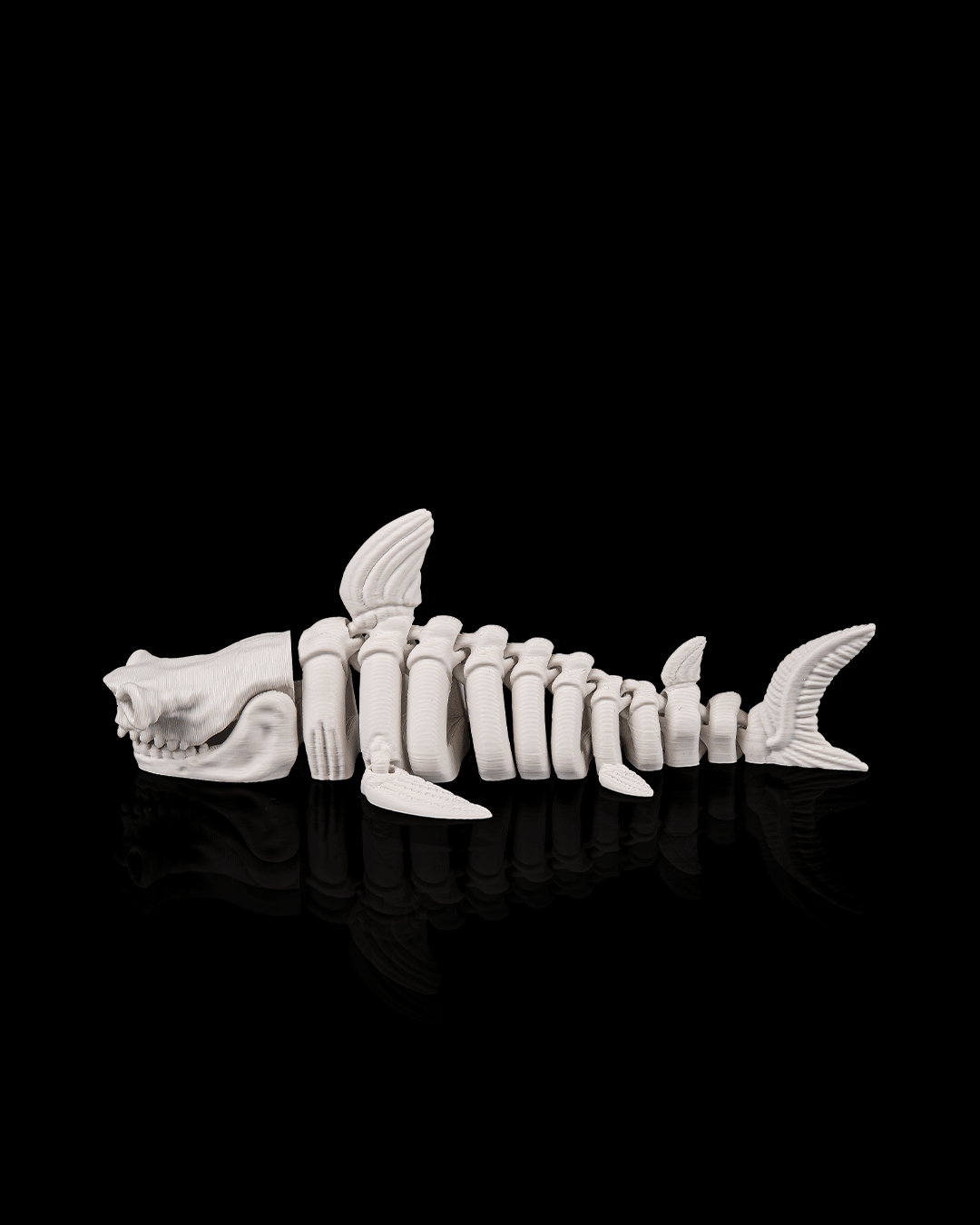 Articulated Skeleton Shark Figurine