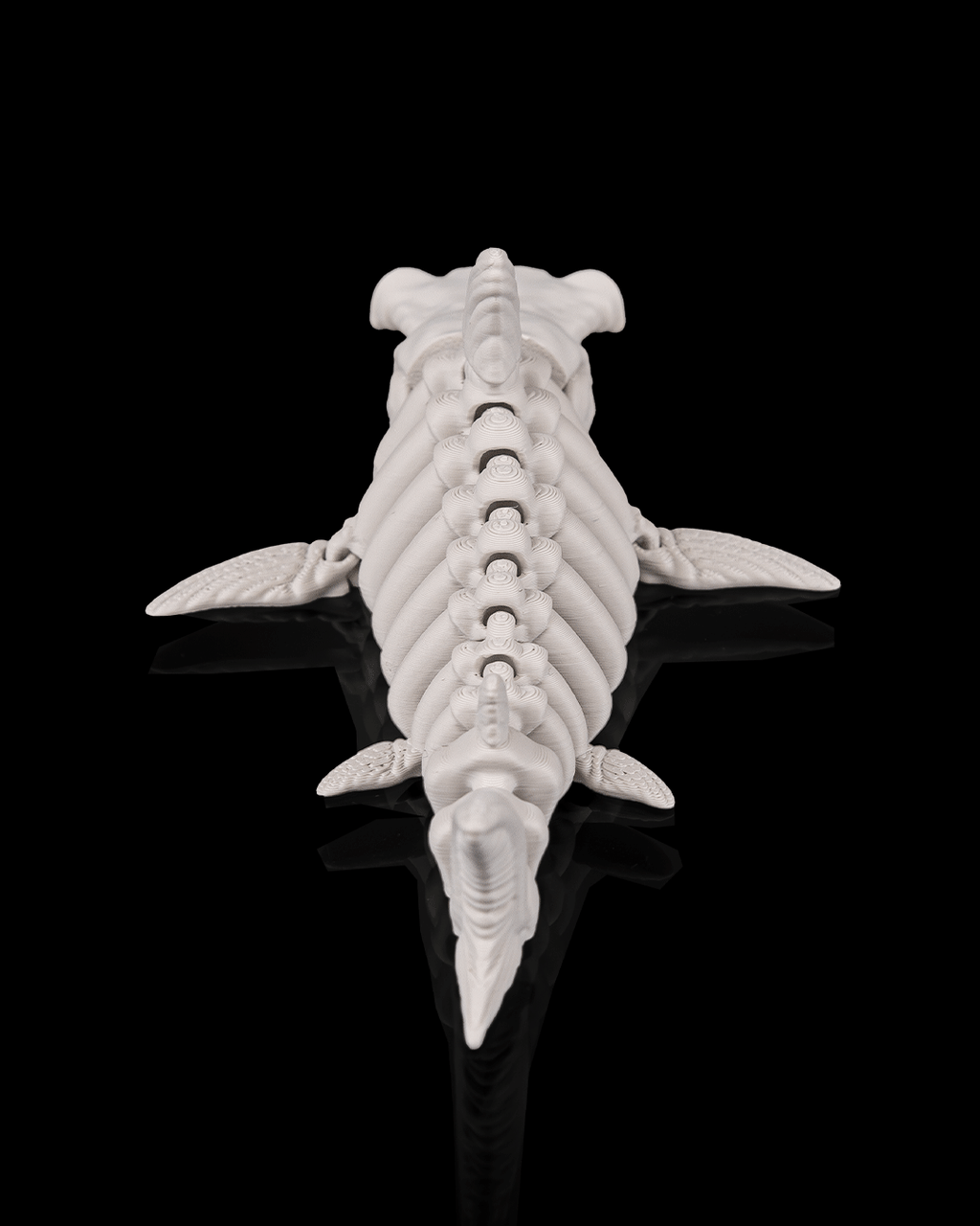 Articulated Skeleton Shark Figurine