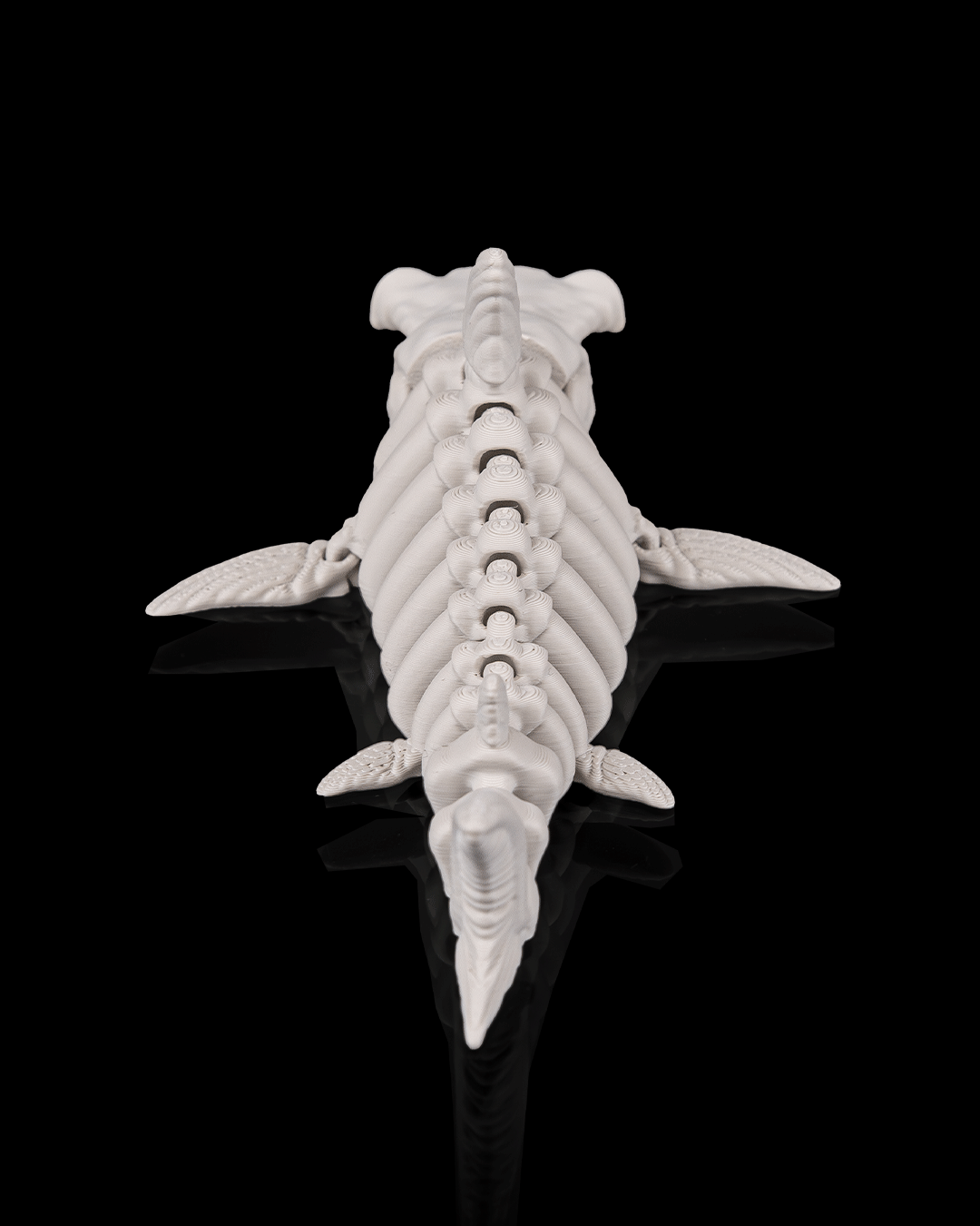 Articulated Skeleton Shark Figurine