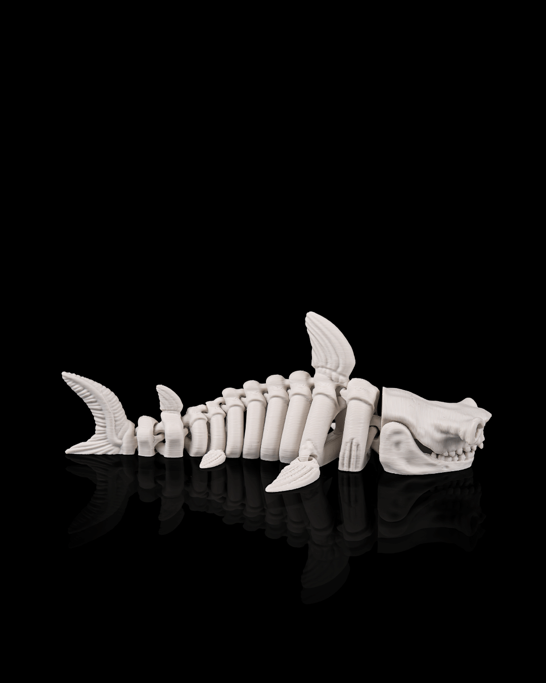 Articulated Skeleton Shark Figurine