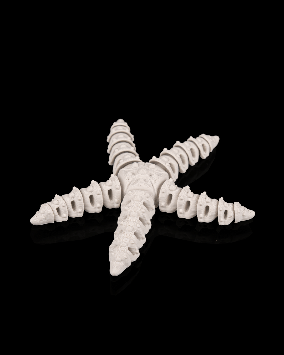 Articulated Skeleton Starfish Figurine