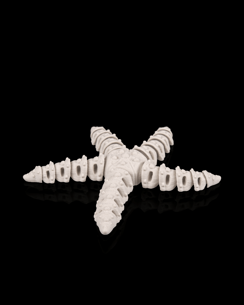 Articulated Skeleton Starfish Figurine