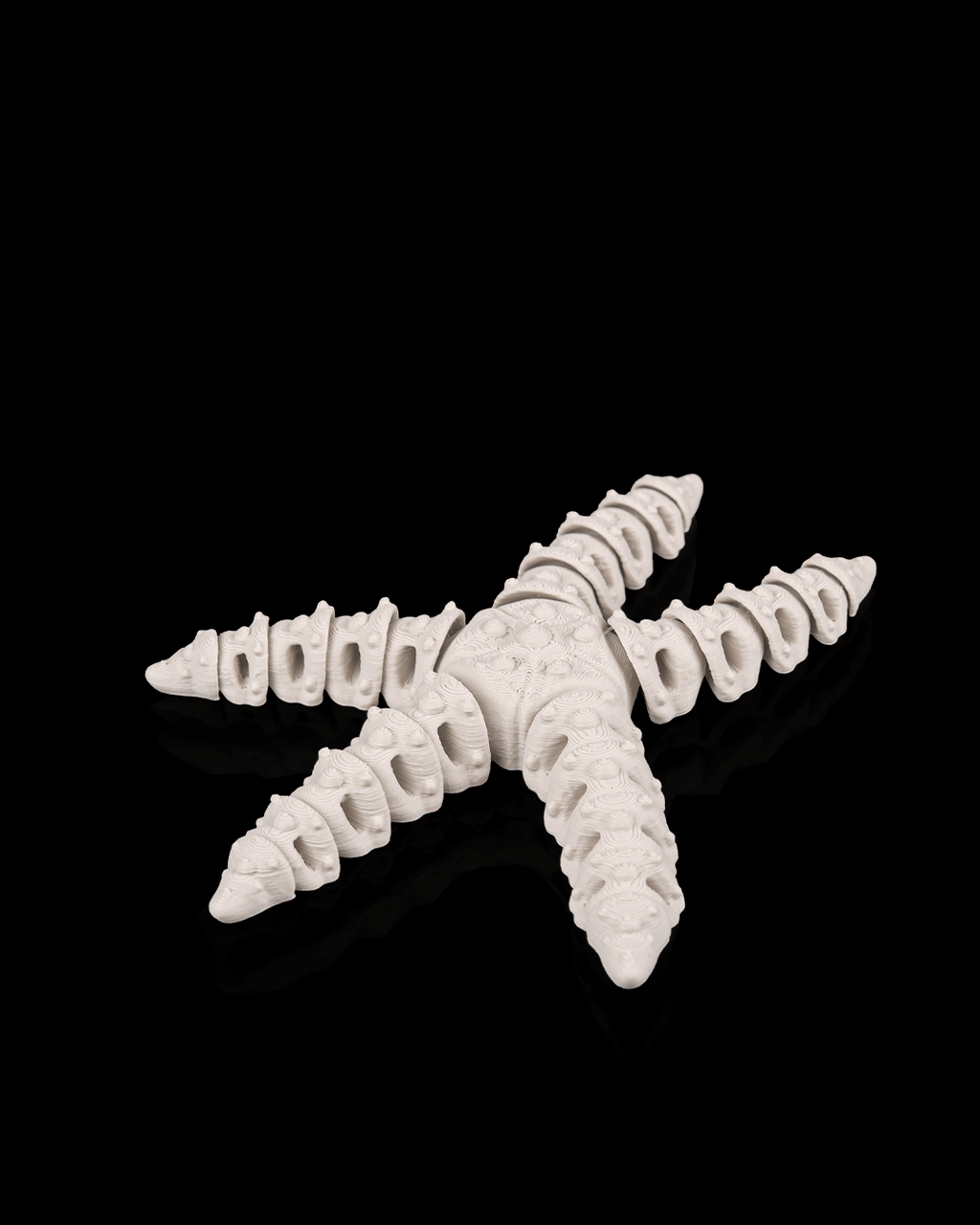 Articulated Skeleton Starfish Figurine