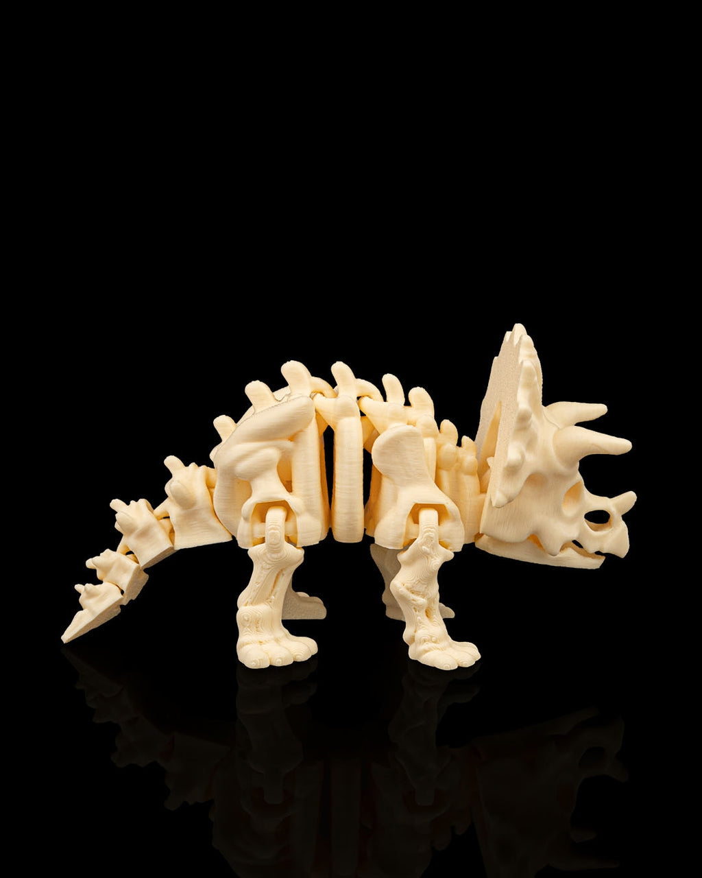 Articulated Skeleton Triceratops Dinosaur Figurine