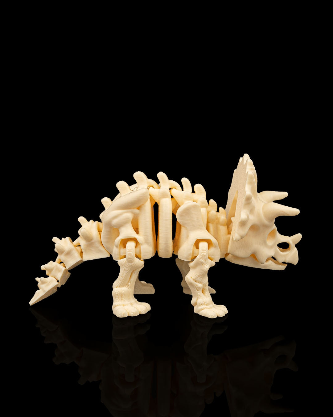 Articulated Skeleton Triceratops Dinosaur Figurine