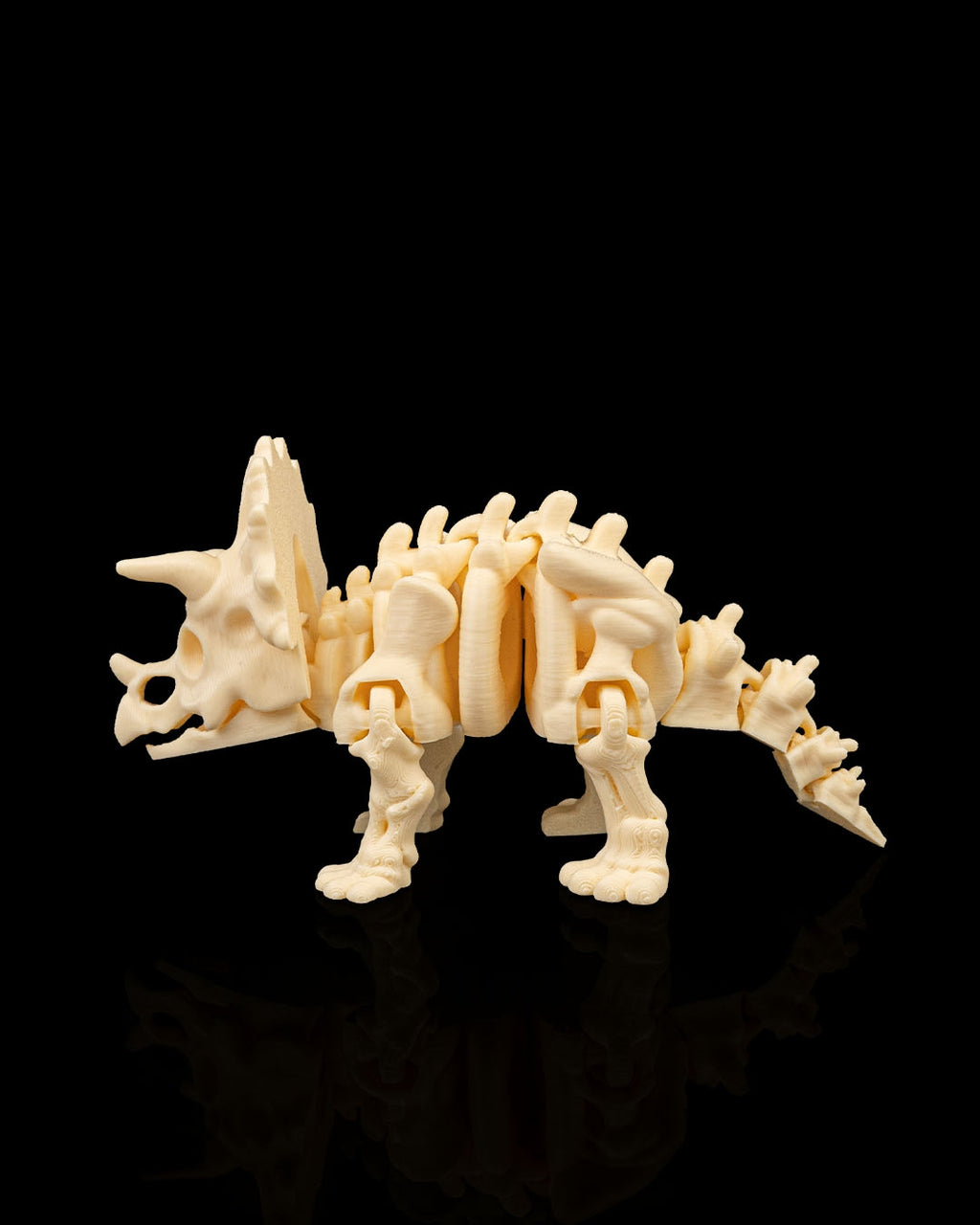 Articulated Skeleton Triceratops Dinosaur Figurine