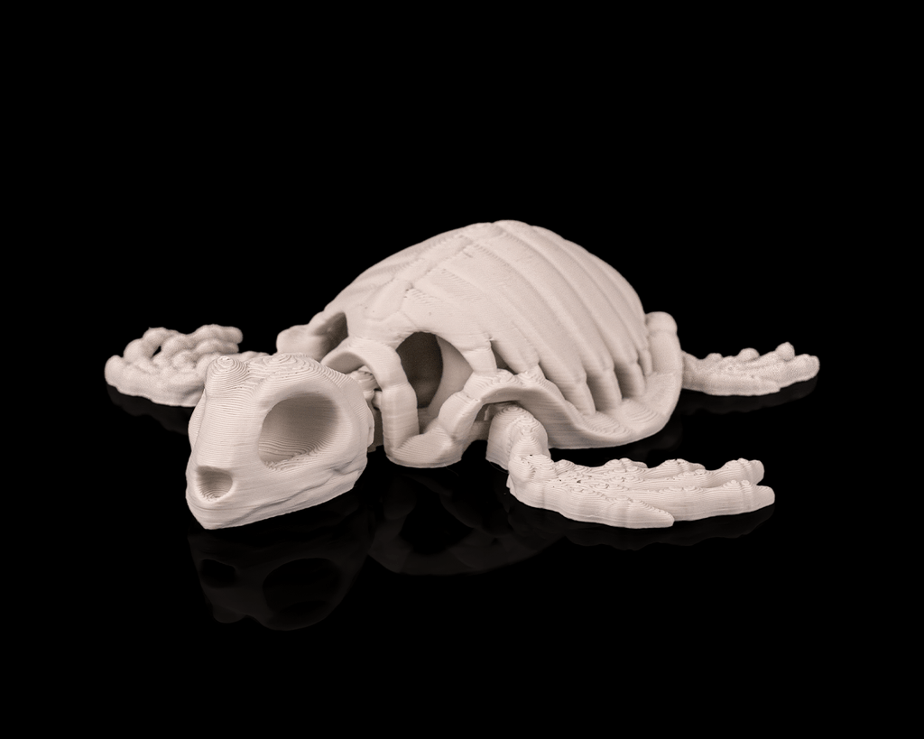 Articulated Skeleton Turtle Figurine