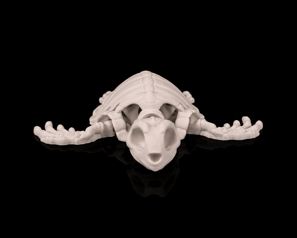 Articulated Skeleton Turtle Figurine