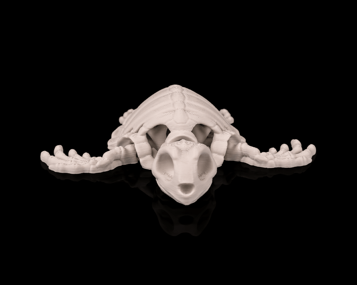Articulated Skeleton Turtle Figurine