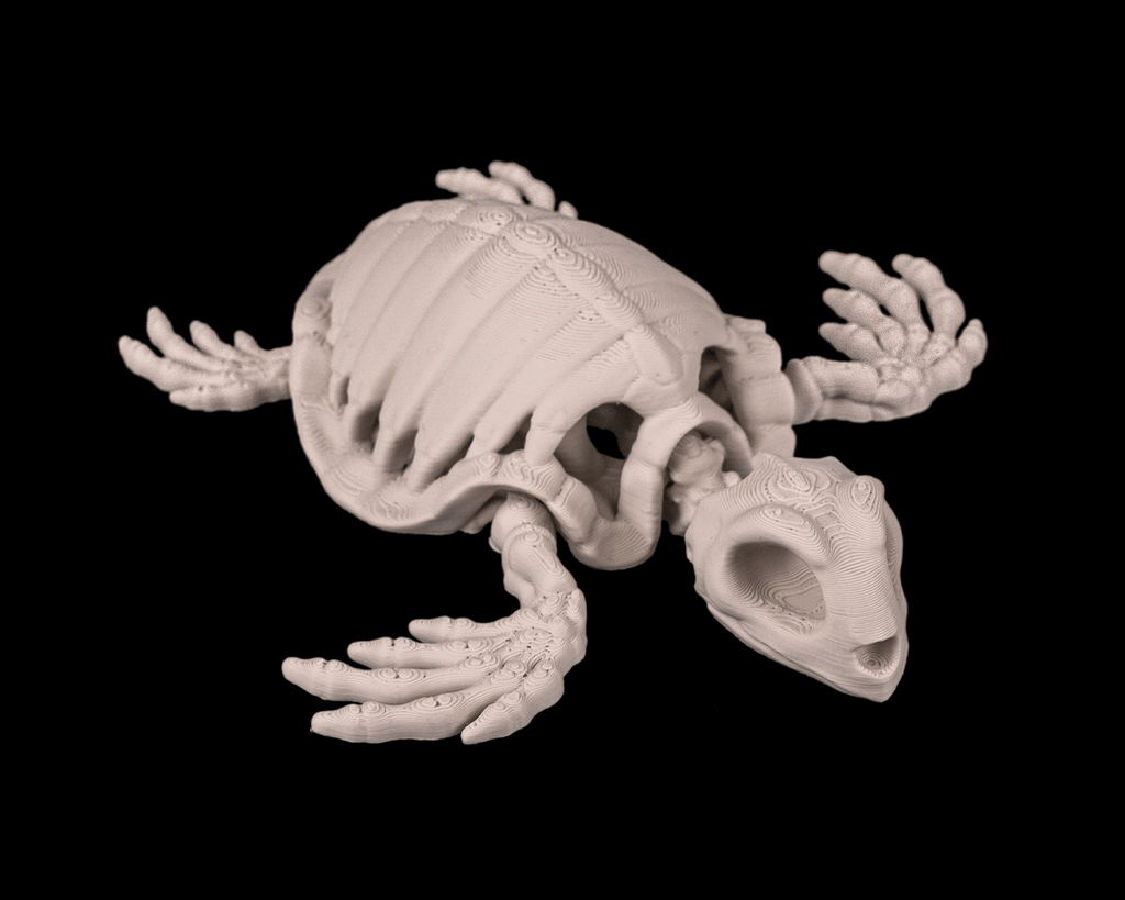 Articulated Skeleton Turtle Figurine