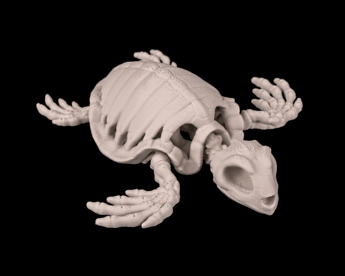 Articulated Skeleton Turtle Figurine