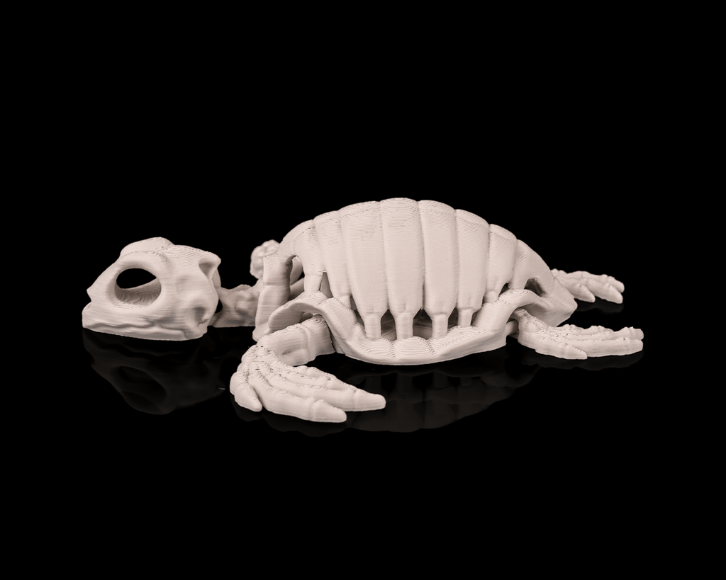 Articulated Skeleton Turtle Figurine