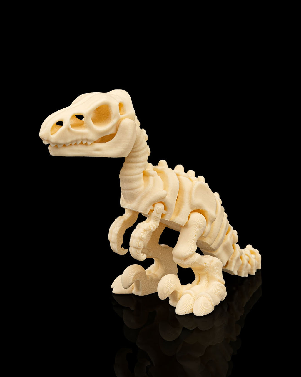 Articulated Skeleton Velociraptor Dinosaur Figurine