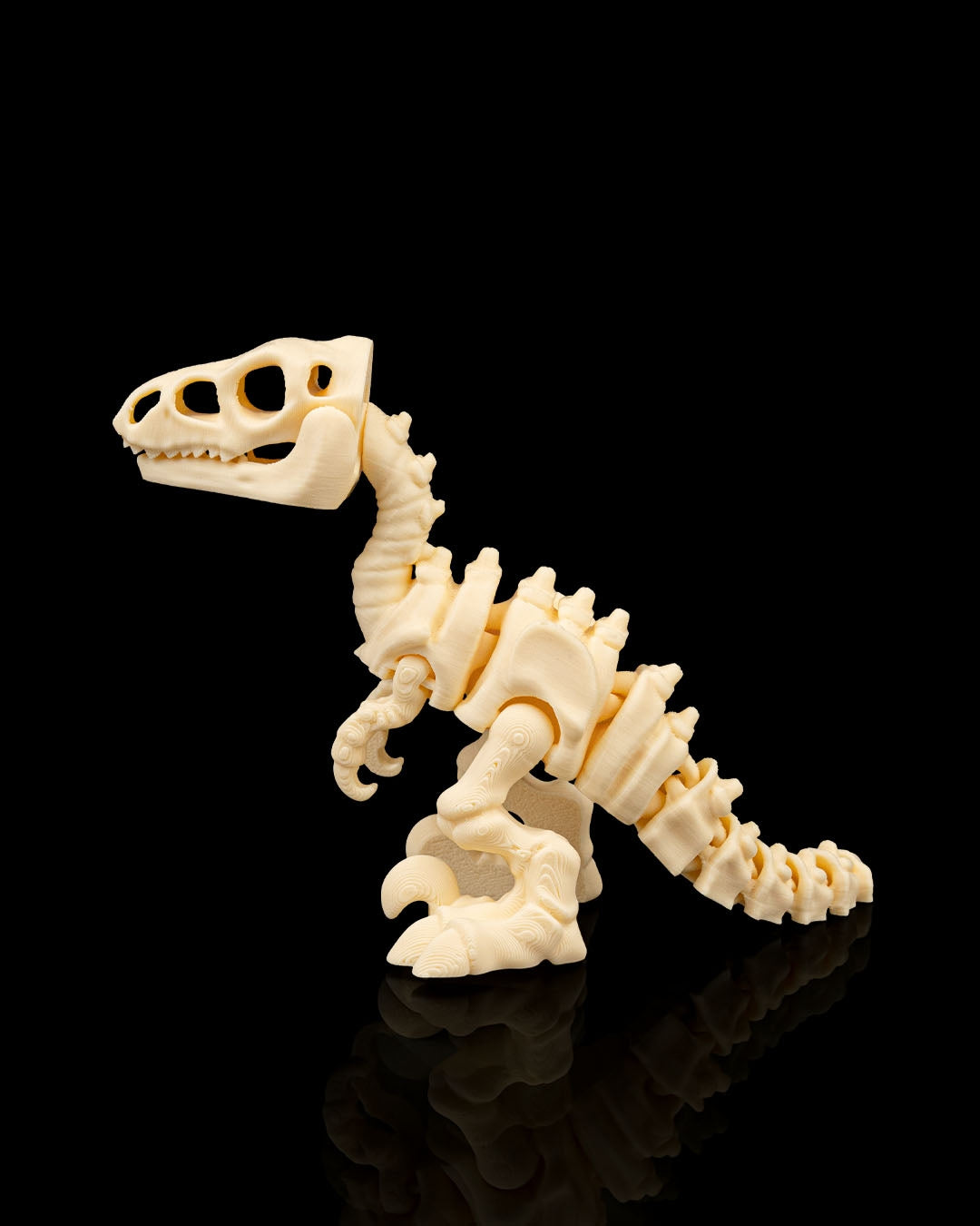 Articulated Skeleton Velociraptor Dinosaur Figurine