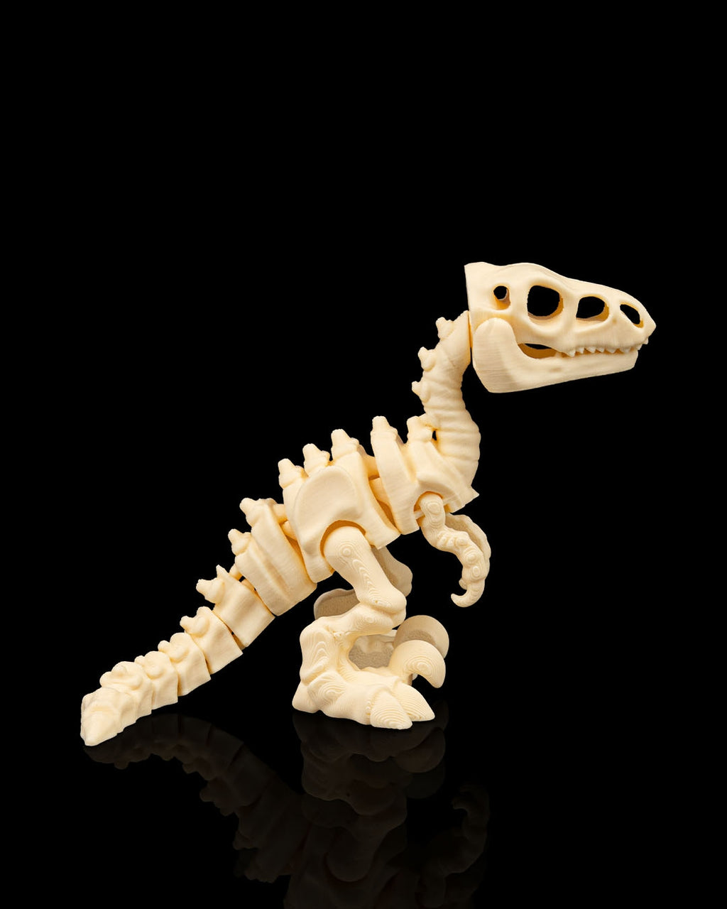 Articulated Skeleton Velociraptor Dinosaur Figurine