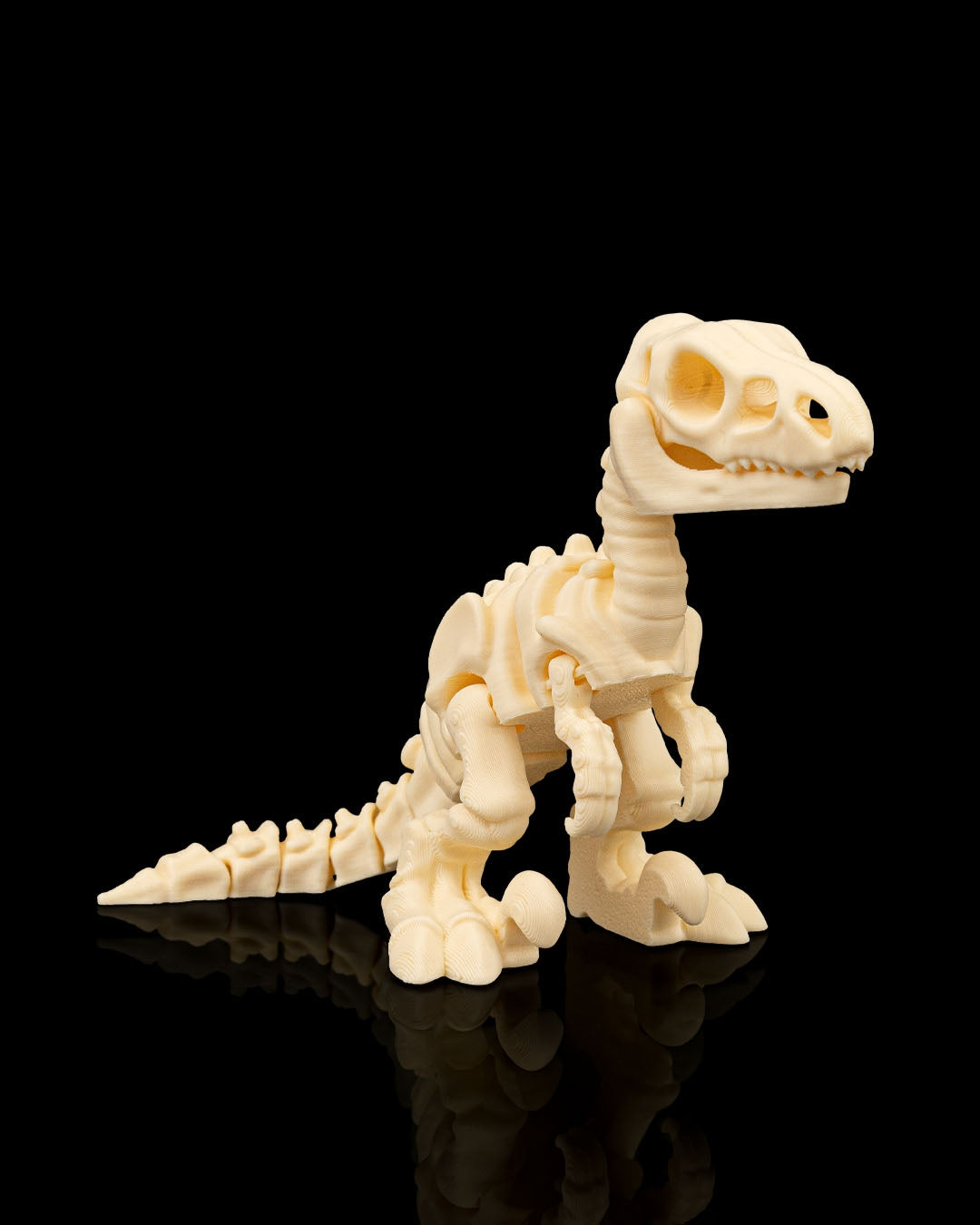 Articulated Skeleton Velociraptor Dinosaur Figurine