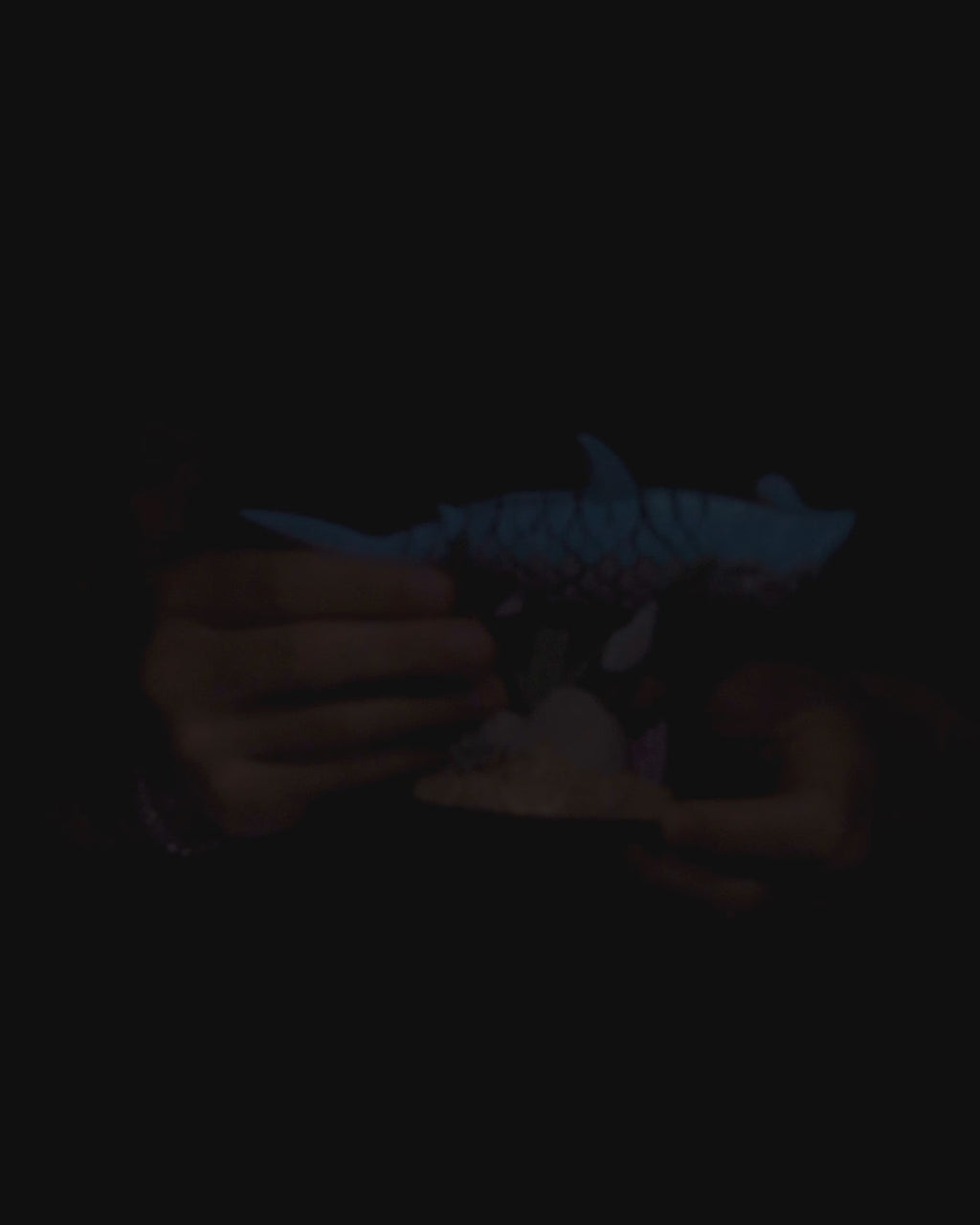 Hanz, the Hammerhead Shark