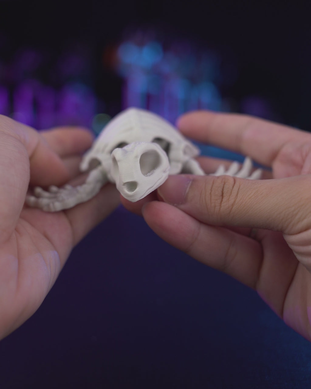 Articulated Skeleton Turtle Figurine